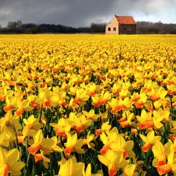 Wettervorhersage fuer das Wochenende Erstes Wochenende des meteorologischen Fruehlings