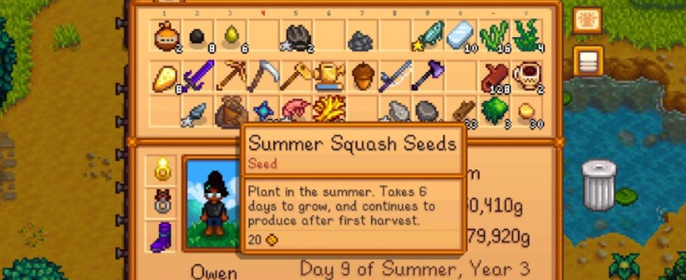 Wie man Sommerkuerbis in Stardew Valley bekommt