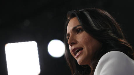 Biden will „Russland zerstoeren – Tulsi Gabbard – World