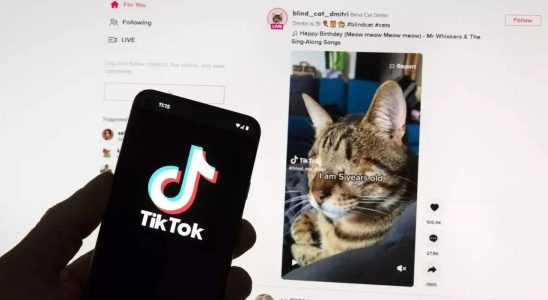 Dem Auslandshilfepaket des Repraesentantenhauses ist ein Gesetzentwurf beigefuegt der TikTok