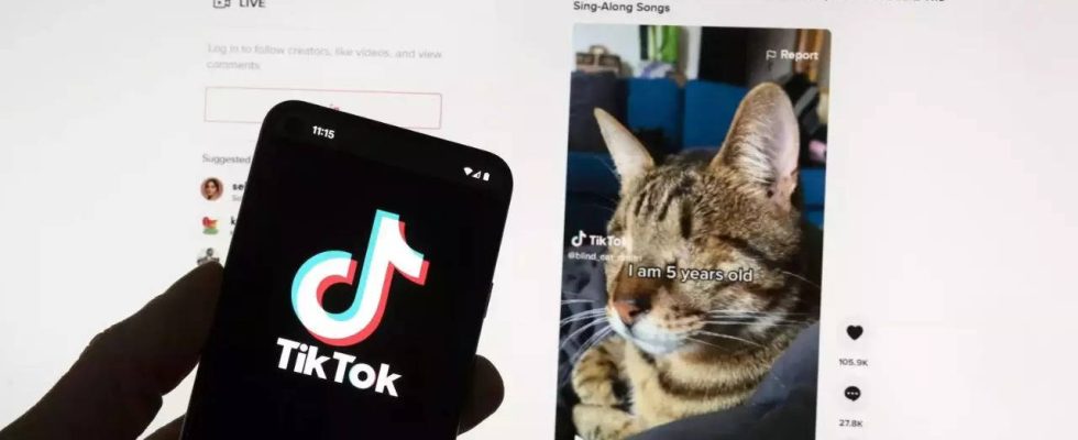 Dem Auslandshilfepaket des Repraesentantenhauses ist ein Gesetzentwurf beigefuegt der TikTok