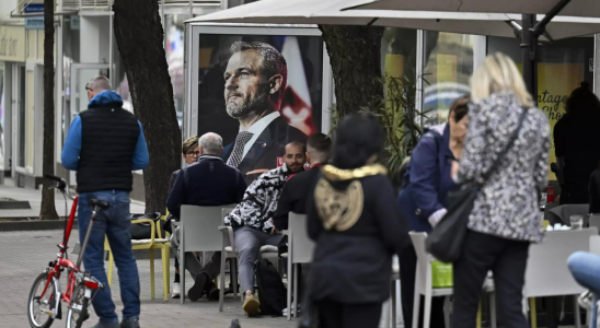 Die Slowaken waehlen zwischen einem Fico Verbuendeten und einem pro westlichen Diplomaten