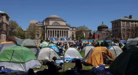 Die Wut an US Universitaeten steigt waehrend die Proteste in Gaza