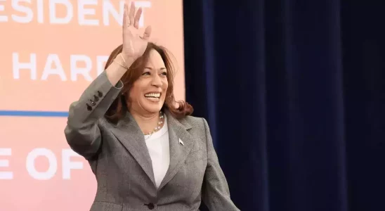 Geheimdienstagentin die US Vizepraesidentin Kamala Harris beschuetzt wurde nach einer Schlaegerei.webp