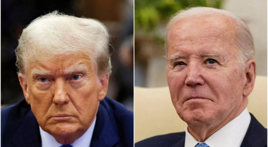 Keine Lust auf Biden oder Trump Stimmen Sie fuer „buchstaeblich