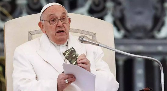 Papst Franziskus erinnert bei woechentlicher Audienz an gefallene ukrainische Soldaten