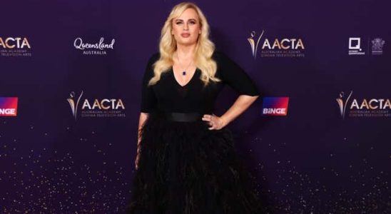 Rebel Wilson fuehlte sich waehrend der Dreharbeiten zu „Die Brueder