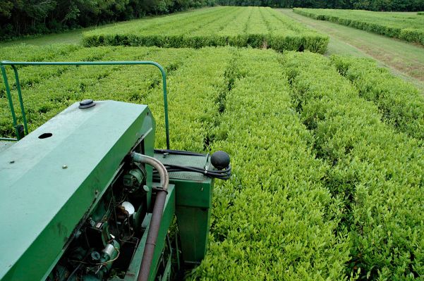 Seso entwickelt Software um landwirtschaftliche Arbeitskraefte zu verbessern und die