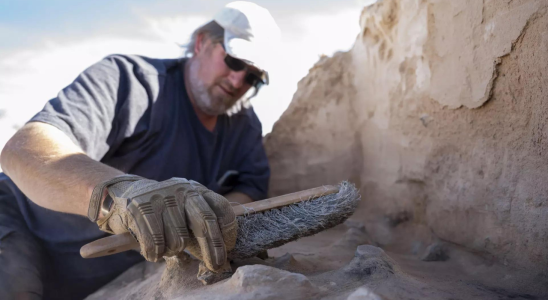 Ueber 8000 Jahre alt US Luftwaffe entdeckt alten Campingplatz in New