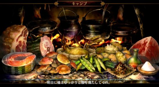 Vanillaware JRPGs sind die Definition von Videospiel Comfort Food