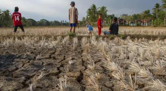 Was sind El Nino und La Nina