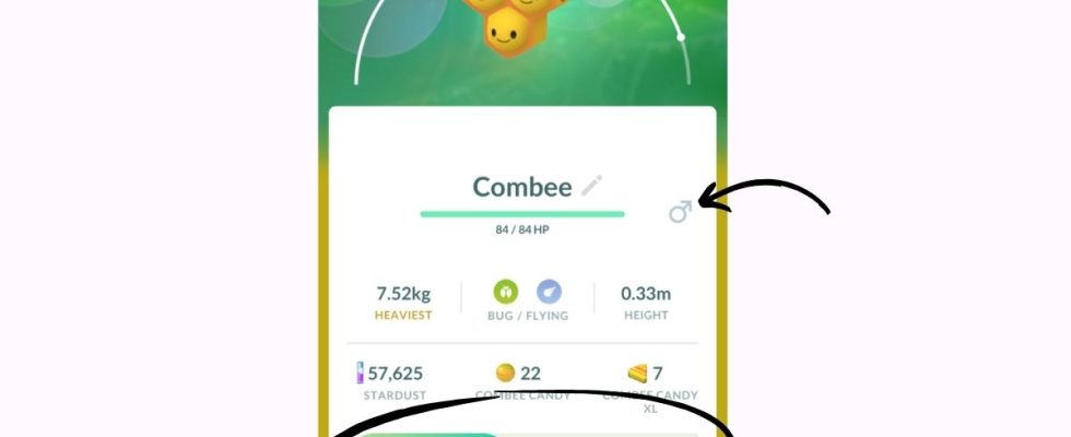 Wie man Combee in Pokemon GO zu Vespiquen entwickelt