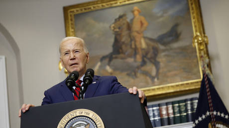 Biden verlagert Wahlkampfbotschaften von der Ukraine weg – Politico –