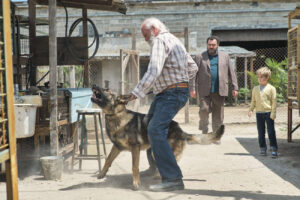 Der Biss des „weissen Hundes