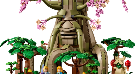 LEGO hat endlich ein Legend of Zelda Set angekuendigt