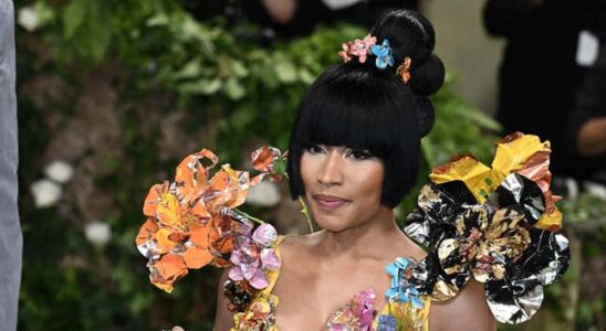 Nicki Minaj von niederlaendischen Behoerden festgenommen es sei „Sabotage gewesen