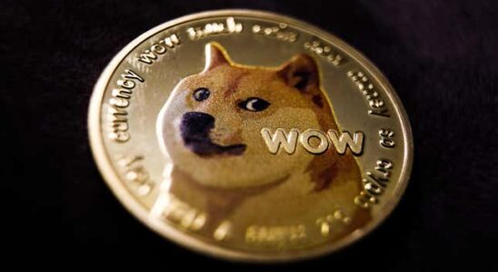 RIP Kabosu der echte Shiba Inu hinter dem Doge Meme