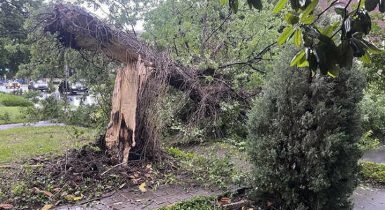 Stuerme in Texas unterbrechen Strom fuer eine Million Menschen einige