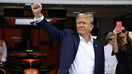 Trump fuehrt Biden in fuenf Swing States an – NYT Umfrage