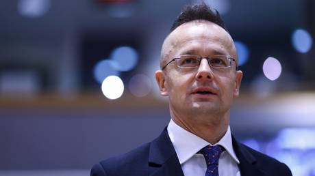 Ukraine Konflikt verursacht „schweren wirtschaftlichen Schaden fuer EU – Ungarn —