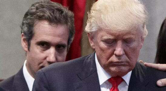 Vor Gericht gibt Michael Cohen zu die Firma von Donald