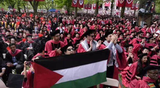 „Freies freies Palaestina Hunderte Studenten verlassen nach wochenlangen Protesten die.webp