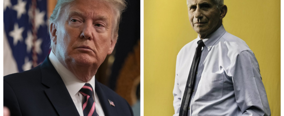 Anthony Fauci Fauci ueber seine Beziehung zu Donald Trump „Er