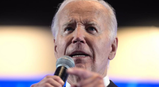 Biden NYT Kolumnist und Freund von Joe Biden sagt er habe