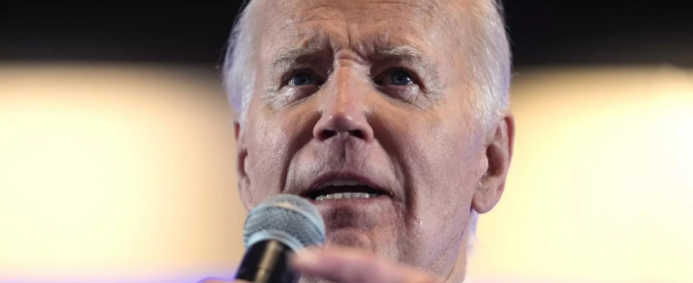 Biden NYT Kolumnist und Freund von Joe Biden sagt er habe