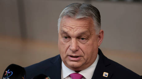 EU koennte Ukraine Konflikt innerhalb von 24 Stunden beenden – Orban