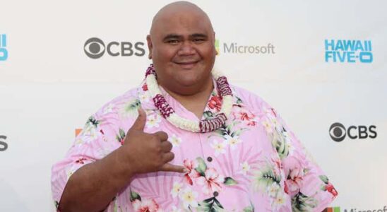 Hawaii Five 0 Star Taylor Wily mit 56 Jahren gestorben