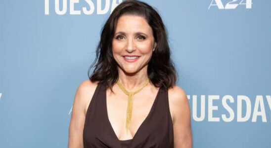 Julia Louis Dreyfus aeussert sich zur politischen Korrektheit