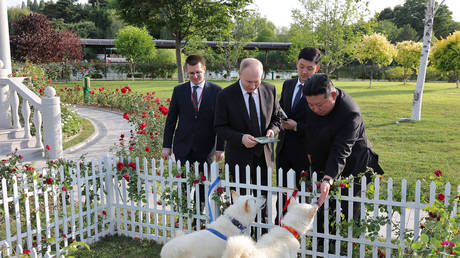 Kim schenkt Putin seltene Hunde — World