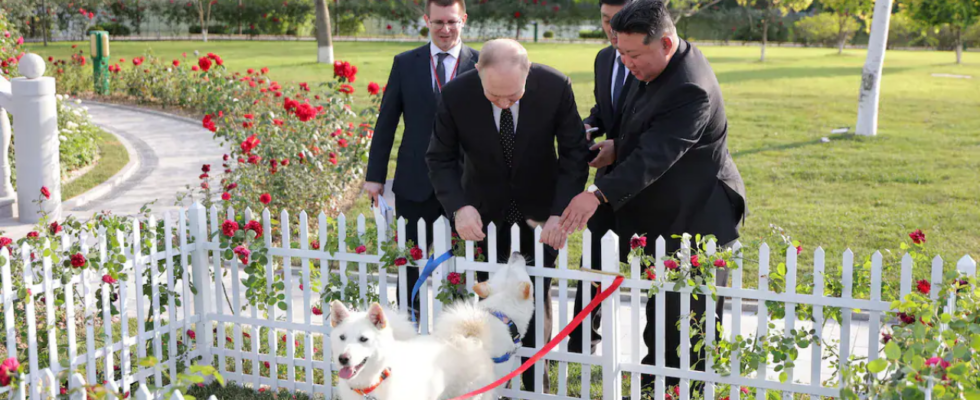 Nordkoreas Diktator Kim schenkt dem russischen Praesidenten Putin ein Hundepaar