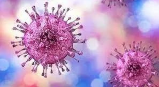 Pakistan Neuer Fall des Kongo Virus in Quetta gemeldet