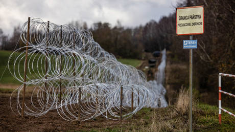 Polnischer Abgeordneter fordert Landminen an der russischen Grenze — World