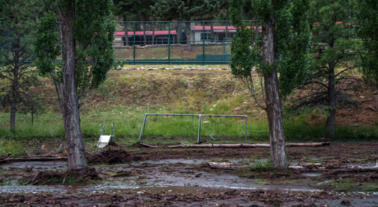 Regen lindert Waldbraende in Mexiko loest nun Sturzflutwarnungen aus