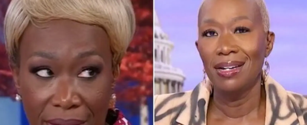 TV Moderatorin Joy Reid die beschuldigt wird Trumps Frisur „gestohlen zu