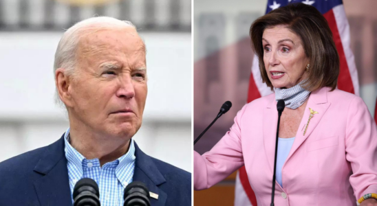 Bericht Nancy Pelosi sagte Biden er koenne die Siegchancen der