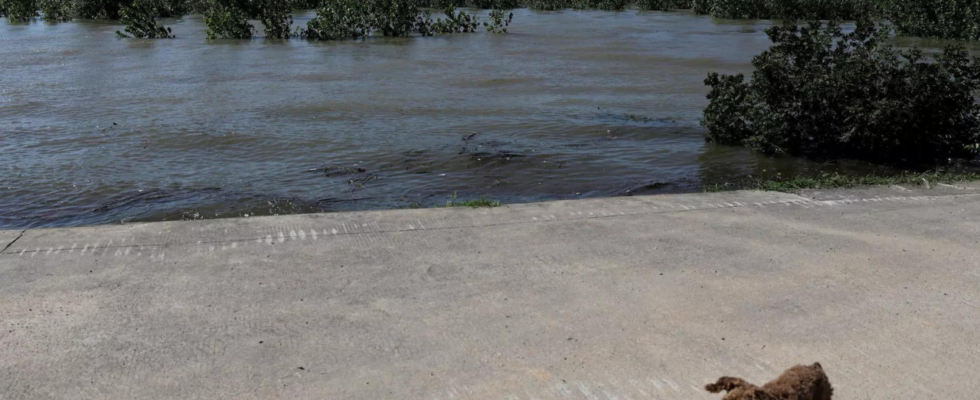 Bewohner nach Dammbruch an Chinas zweitgroesstem Suesswassersee umgesiedelt