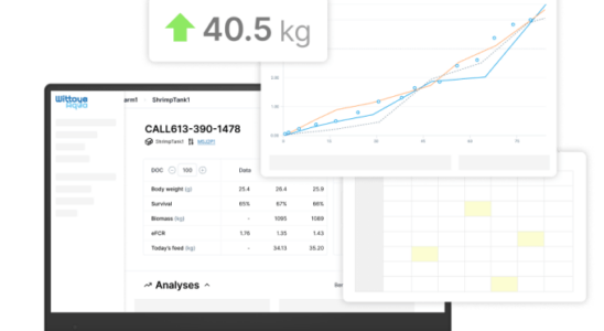 Datengesteuerte KI von Wittaya Aqua hilft Fischzuechtern ihre Aquakulturproduktion zu