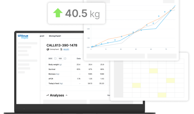 Datengesteuerte KI von Wittaya Aqua hilft Fischzuechtern ihre Aquakulturproduktion zu