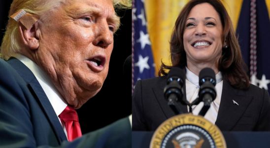 Donald Trump Kamala Harris Der Beitrag einer Astrologin ueber Kamalas