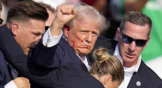 Foto des blutueberstroemten trotzigen Trump bekommt patriotische Bedeutung