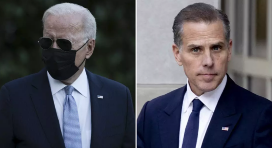 Hunter Biden beim Einkaufen in LA gesehen waehrend Vater Biden