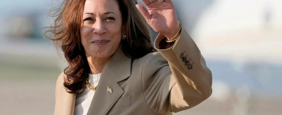 Kamala Harris 44 Millionen indischstaemmige Amerikaner unterstuetzen Kamala Harris‘ Praesidentschaftskampagne