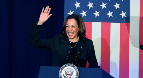 Kamala Harris sagt sie werde die Nominierung der Demokraten zur