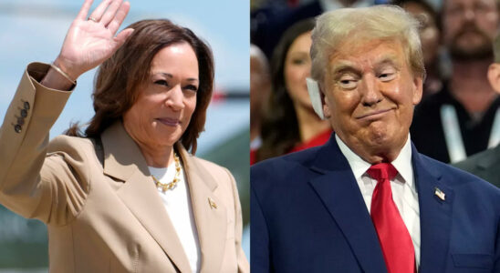 Kamala Harris‘ „seltsame Wahlkampfstrategie Wie die Demokraten versuchen Trump zur