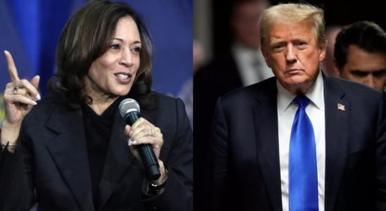 Koennte Kamala Harris Donald Trump bei der US Praesidentschaftswahl besiegen