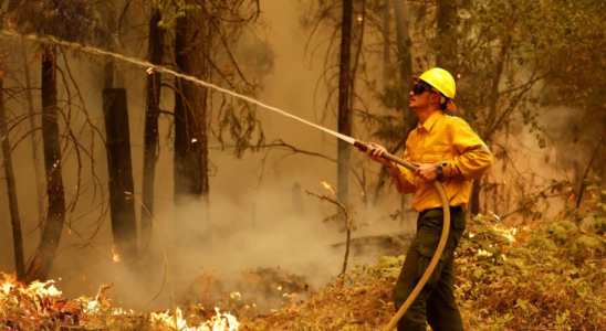 Waldbrand in kalifornischem Park zerstoert mehr als 350000 Hektar und